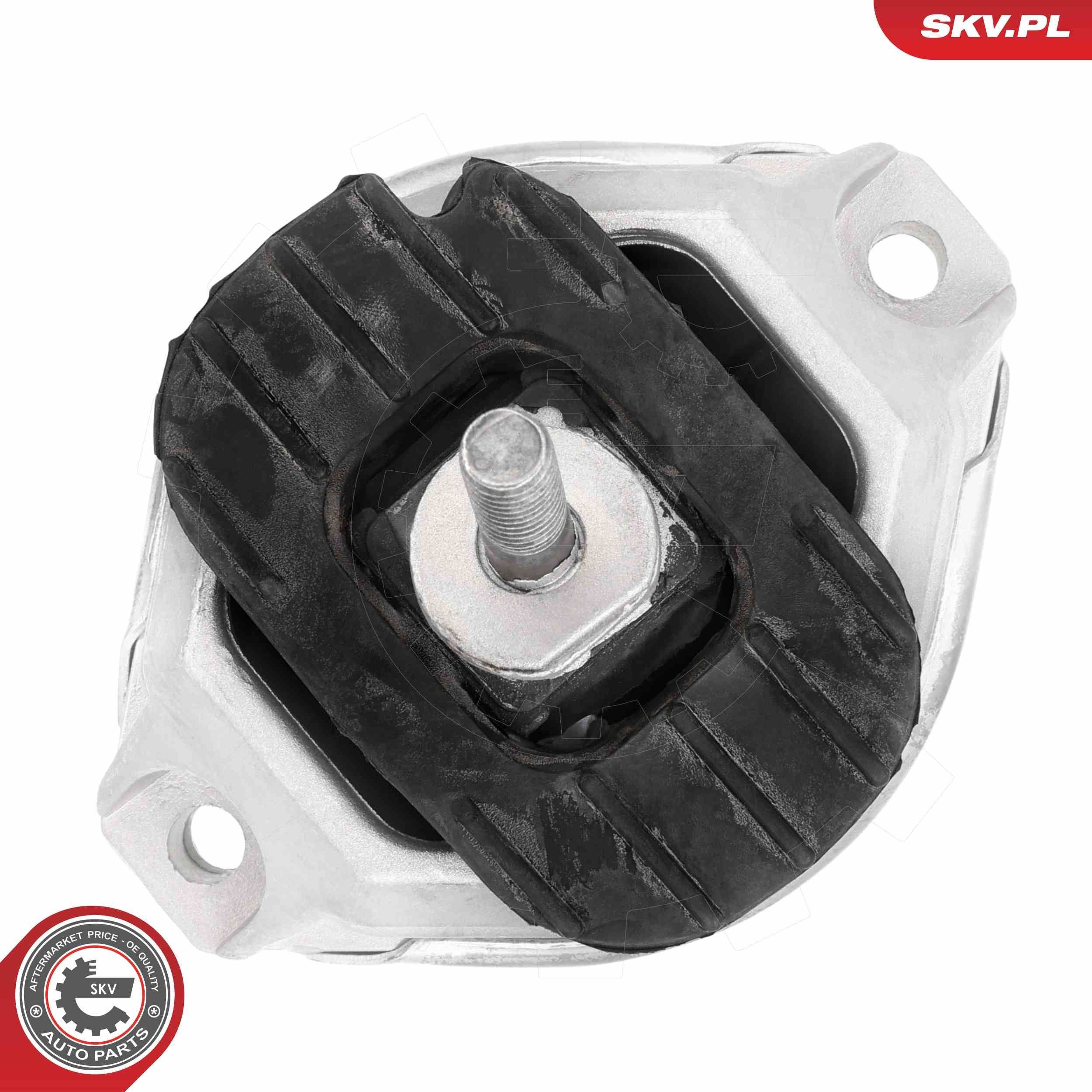 75SKV287 SKV